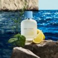 Descrição conforme o Fabricante: “Dolce&Gabbana Light Blue Pour Homme Eau de Toilette incorpora o espírito aventureiro e dinâmico do homem moderno em uma fragrância fresca e vibrante. Suas notas evocam […]