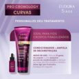 Descrição conforme o Fabricante: “O Condicionador Siàge Pro Cronology Curvas foi desenvolvido especialmente para cabelos texturizados do 2A ao 4C. Com ativos que reconhecem o ponto de torção dos fios, este […]