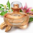 Descrição conforme o Fabricante: “Seja a protagonista da sua melhor versão e alcance lugares inimagináveis com a fragrância feminina e floral de Lily Lumière Eau de Parfum, ideal para você, mulher que está no […]